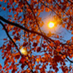 Meet your Posher, Account